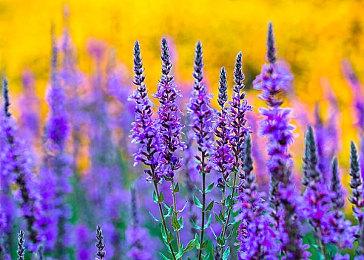 平台冒险《不·休：永恒之物》4月14日发售 登陆全平台