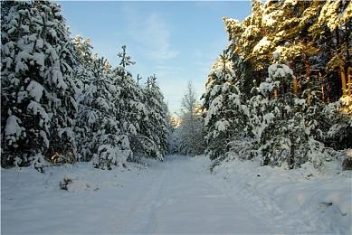 《战场的赋格曲3》多平台发售 经典战棋三部曲完结