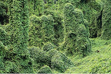 《赛博朋克2077》MOD再次提升游戏人物显示效果